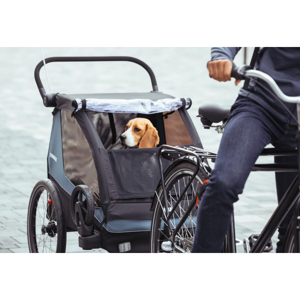 Thule Courier | Kids, Dog & Cargo Bike Trailer